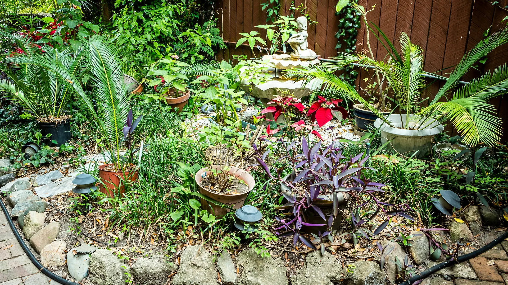 住宿加早餐酒店 薩凡納Amethyst Garden住宿加早餐旅馆