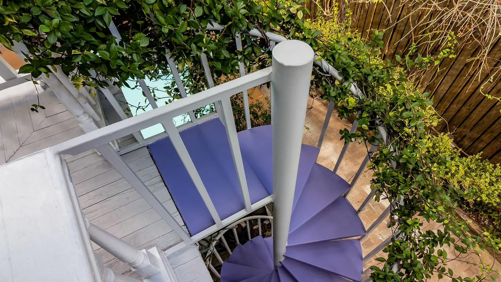 住宿加早餐酒店 薩凡納Amethyst Garden住宿加早餐旅馆